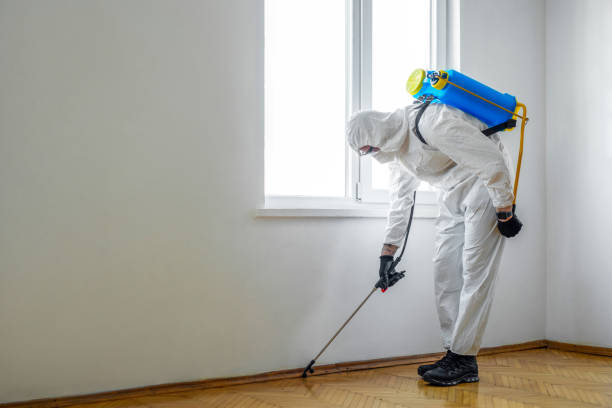 Best Flea Control Services  in Shell Lake, WI
