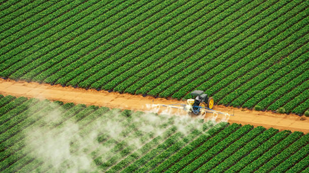 Pest Control Cost in Shell Lake, WI